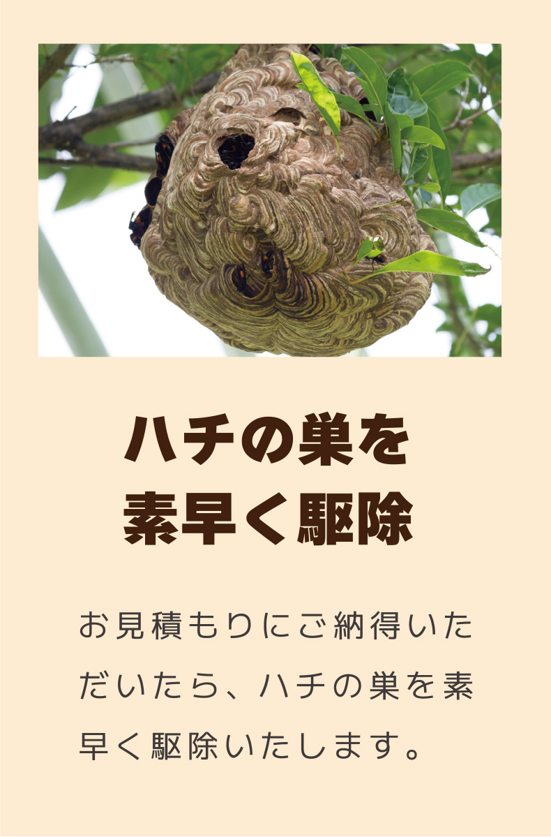 ハチの巣を素早く駆除