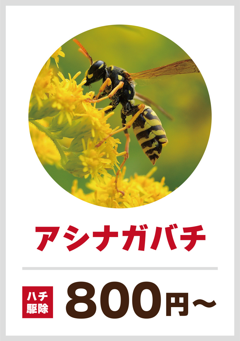 現地で無料見積もり