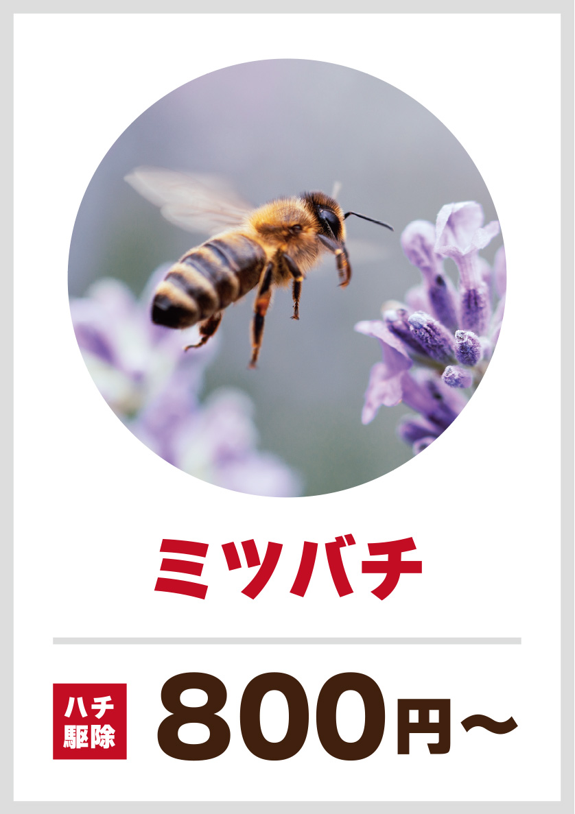 ハチの巣を素早く駆除